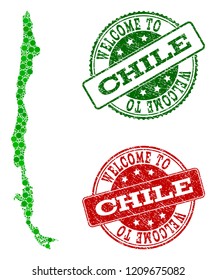 Welcome combination of map of Chile and rubber seal stamps. Vector greeting watermarks with unclean rubber texture in green and red colors. Welcome flat design for guest appreciation posters.