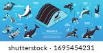 Welcome to dolphinarium isometric infographics layout with dolphin riding and kids entertainment elements horizontal vector illustration