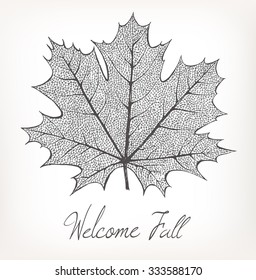 Welcome fall, leaf