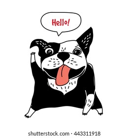 Welcome message hello happy dog object French bulldog greeting card . Color vector illustration. EPS8