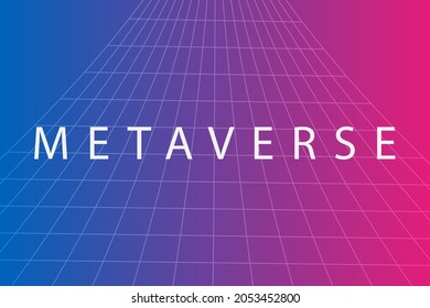 Welcome to the metaverse. A place where our digital. Our new digital world.