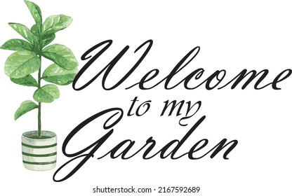 Welcome to my Garden sign and Fiddle Fig on white background.