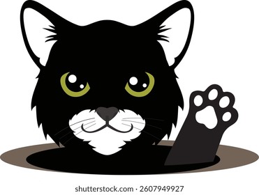 welcome screen with black cat theme