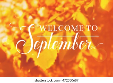 Welcome to September. Blurred autumn background with lettering. Vector banner.