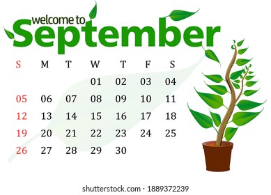 Welcome to September with Vector illustration. Green Plant with Colorful Illustration for September with Calendar Dates. Simple, Awesome, and Creative eps illustration.