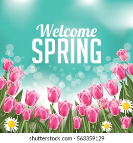 Welcome Spring. Daisies and tulips design for the spring season. EPS 10 vector.