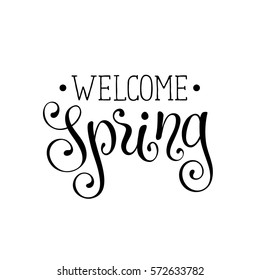 Welcome spring lettering handwritten with black ink isolated on white  background. Romantic text. Modern calligraphy for greeting card design. 