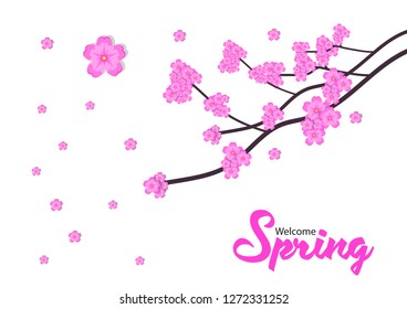 welcome spring with sakura flower