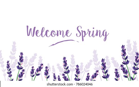 Welcome Spring vector background with lavender on white background
