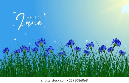 Welcome summer banner. Grass and flower on rustic summer background. Vector illustration.