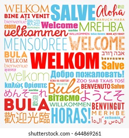 Welkom Welcome Afrikaans Word Cloud Different Stock Vector (Royalty ...