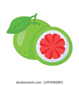 Well designed icon of grapefruit in modern style, healthiest citrus fruit