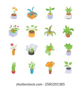 Well designed indoor plants isometric icons set in modern style