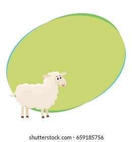 Well gromed fluffy sheep, lamb with big eyes, cartoon vector illustration with space for text. Cute and funny farm sheep, lamb with friendly face and big eyes