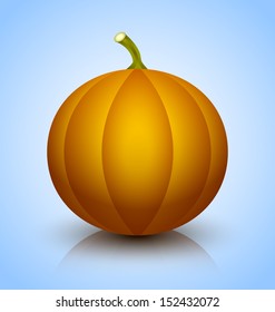 Well riped pumpkin icon isolated on light blue background