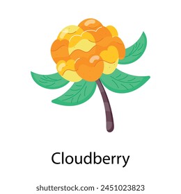 A well-designed flat sticker of cloudberry