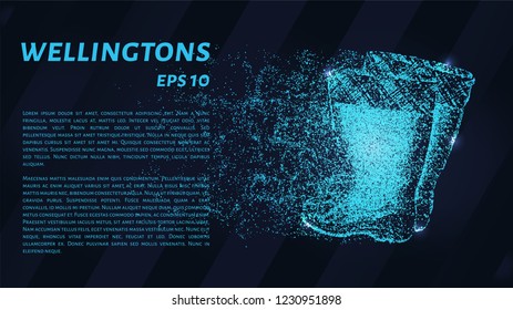 Wellingtons of blue glowing dots. Boots vector illustration