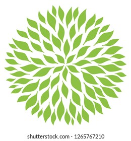 Wellness leaves circular