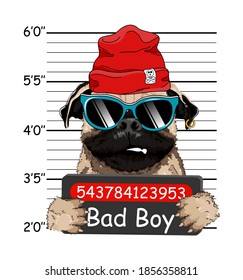 Welsh Bulldog Criminal With Red Hat. Arrest Photo. Mugshot Photo. Police Placard, Police Mugshot. French Bulldog