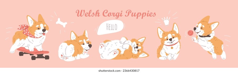 Caricatura galesa Corgi cachorro en varias poses. Disfrute de un paseo en patineta rosa, acariciando, jugando. Corgi raza pura de perro peludo. Animadas ilustraciones de personajes de mascotas infantiles sobre fondo beige