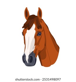 Welsh Cob breed, horse head portrait. Beautiful thoroughbred stallion with bicolor coat. Graceful purebred equine animal avatar. Flat graphic vector illustration isolated on white background