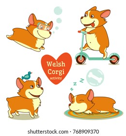 Welsh corgi activity, diving scooter bird sleep