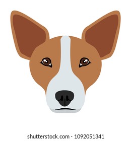 Welsh corgi avatar