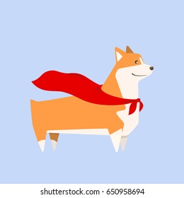 Welsh Corgi breed dog with red superhero cape, cutest and smallest sheepdog isolated on blue background. Vector illustration.