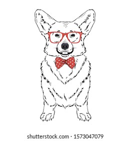 Welsh Corgi breed dog wear red glasses, tie bow isolated on white background Symmetrical pet. Realistic hand drawn vector illustration.