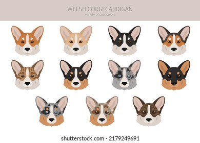 Welsh corgi cardigan clipart. Different poses, coat colors set.  Vector illustration