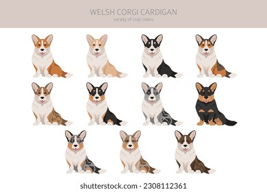 Welsh corgi cardigan clipart. Different poses, coat colors set.  Vector illustration