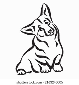 Welsh Corgi Cardigan Dog. Vector Illustration On White Background. Black And White Linear Drawing.