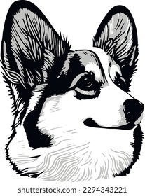 Welsh Corgi Dog Black and White
