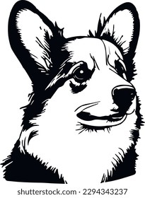 Welsh Corgi Dog Black and White