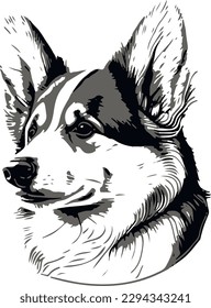Welsh Corgi Dog Black and White
