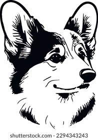 Welsh Corgi Dog Black and White