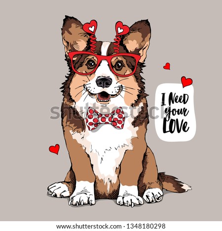 Welsh Corgi dog in a fun glasses with a red hearts, and in a bow tie. I need your love - lettering quote. Card of a Valentine's Day, t-shirt composition, hand drawn style print. Vector illustration.