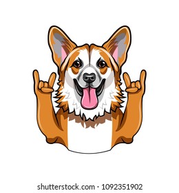 Welsh corgi dog. Horns, Rock gesture. Cute corgi dog portrait. Vector illustration.