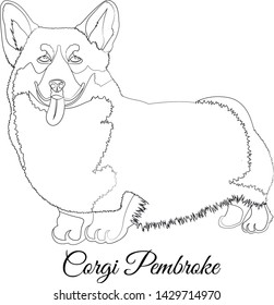 Welsh Corgi dog outline. Vector coloring