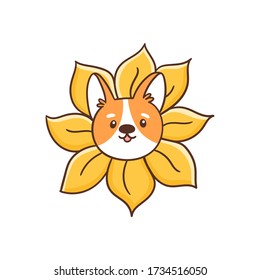 Welsh corgi dog peeks out of a sunflower. Cute vector image isolated on white background. It can be used for card, brochures, poster, sticker etc. 