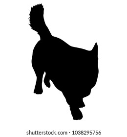 Welsh Corgi dog silhouette on a white background.