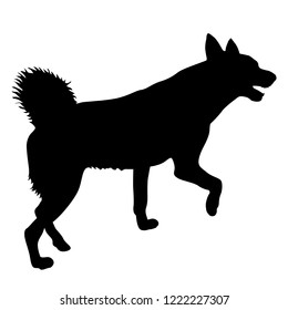 Welsh Corgi dog silhouette on a white background
