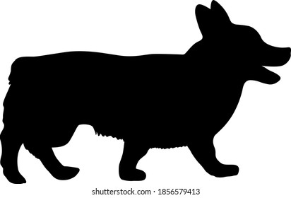 Welsh Corgi dog silhouette on a white background