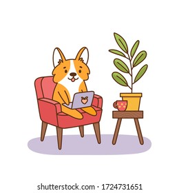 Welsh corgi dog sitting on a chair with a laptop, working at home. It can be used for card, brochures, poster, sticker etc. Vector image isolated on white background.