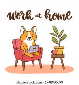 Welsh corgi dog sitting on a chair with a laptop. The hand-drawing ink inscription: Work at home. It can be used for card, brochures, poster etc. 