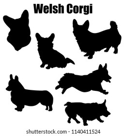 Welsh corgi dog vector icons and silhouettes. Set of illustrations in different poses.