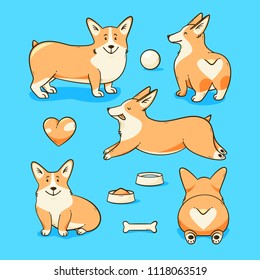 Welsh corgi dog, vector illustration set with a heart