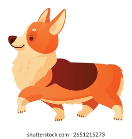 Welsh corgi dog walking joyfully, showcasing its distinctive short legs and fluffy fur, embodying a cheerful and playful spirit, perfect as a loving companion for families and kids