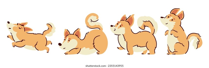 Welsh corgi dogs . Hand drawn style cartoon characters . White isolate background . Vector .