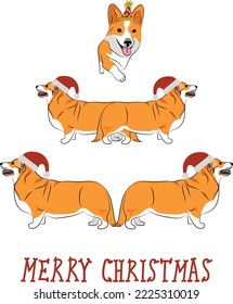 Welsh Corgi dogs wearing winter hats. Cute funny dogs.Abstract Christmas tree. Vector illustration. Merry Christmas greeting card with the cute funny dogs, holiday, purebred with happy eyes, profile.